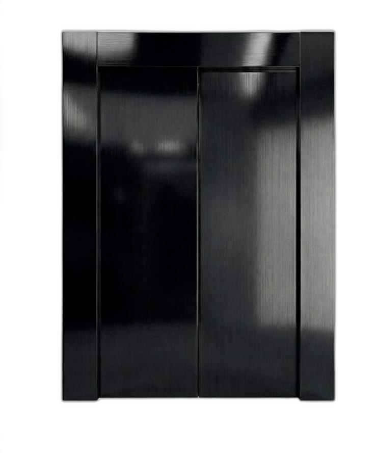 Black Hairline SS Door